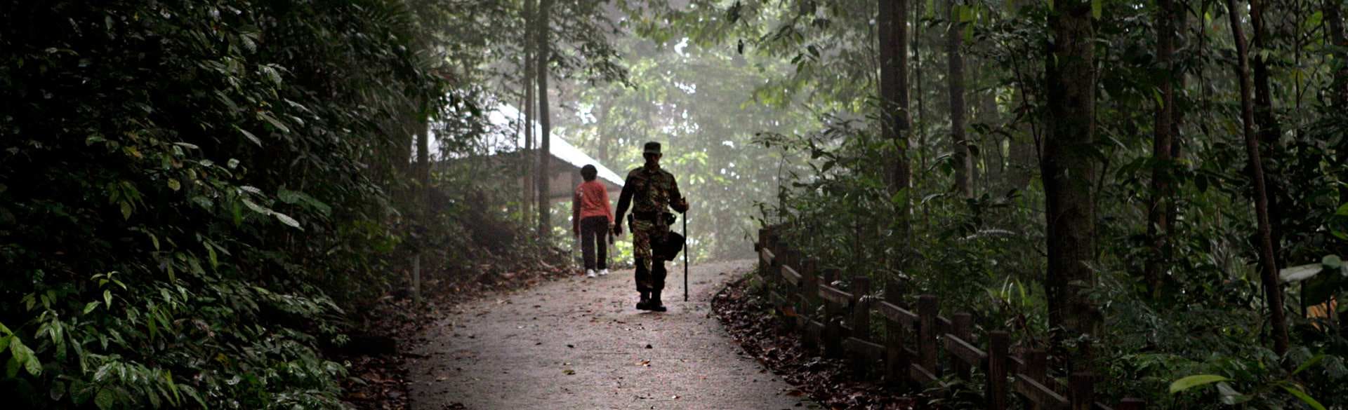 Alliances for survival and success